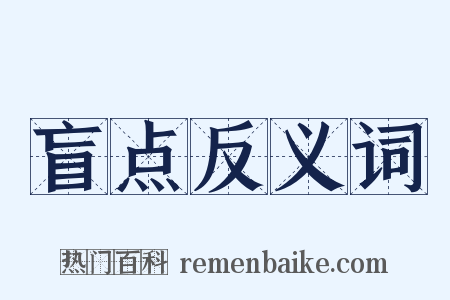 盲点反义词是什么意思的图片